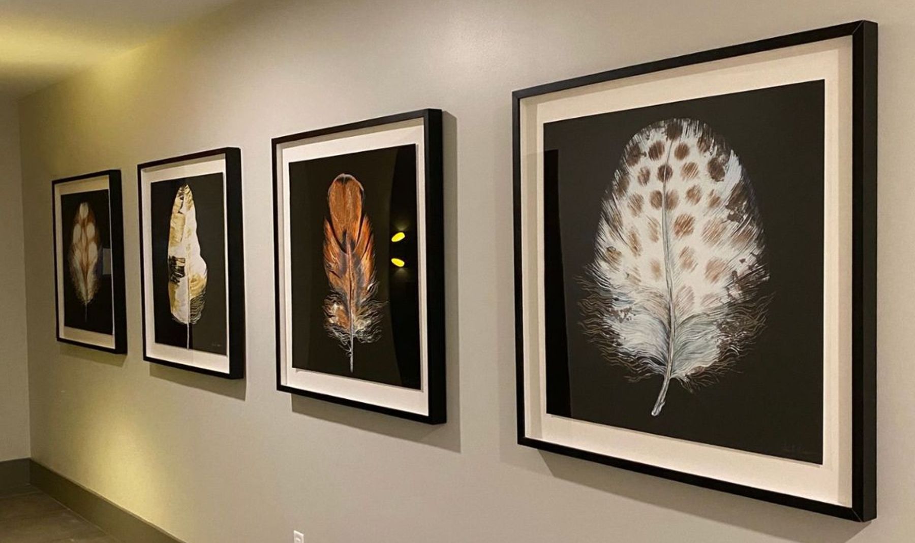 White wall with four framed pieces of art with feathers