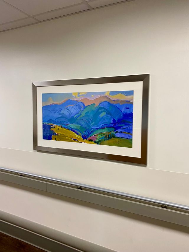 Our Best Tips for Art Selection in Healthcare Environments